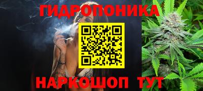 Альфа ПВП Кимры