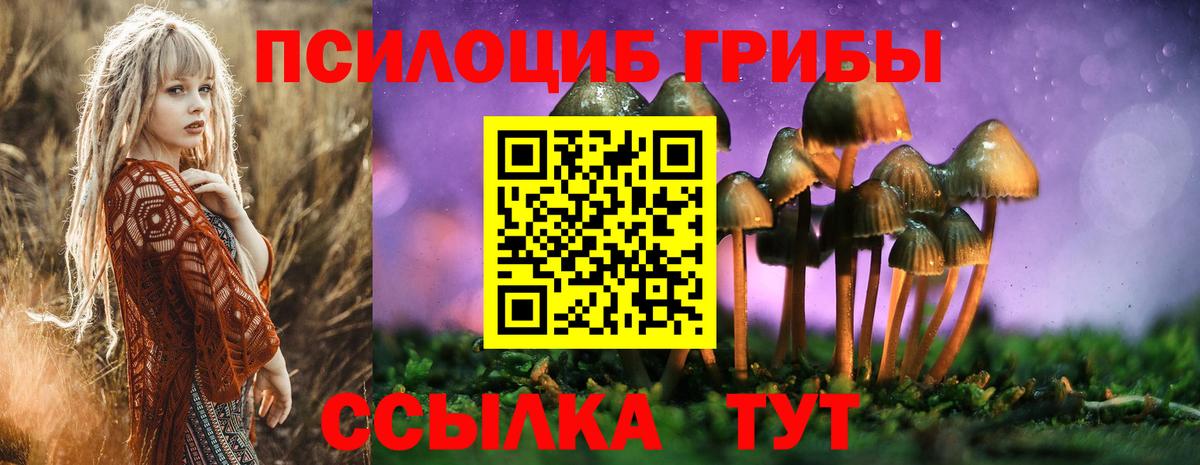 как найти закладки  Галлюциногенные грибы Cubensis  Вход с VPN  Кудымкар  Галлюциногенные грибы прущие грибы 
